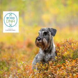 532176161_741453471843007_5842350486753882128_n