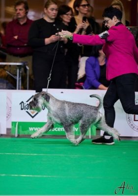 Bonzen Loviisa Ulriika