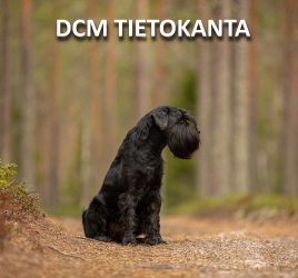 DCM-tietokanta