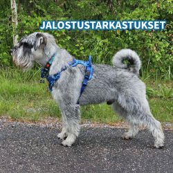 jalostustarkastus
